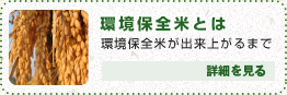 ～ 環境保全米とは ～ 環境保全米が出来上がるまで