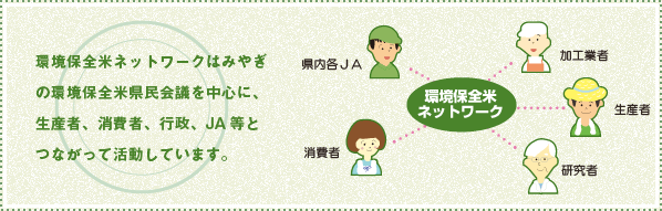 環境保全米ネットワークはみやぎの環境保全米県民会議を中心に、生産者、消費者、行政、JA等とつながって活動しています。