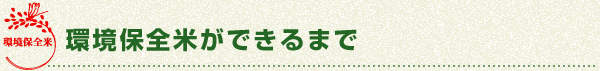 環境保全米ができるまで